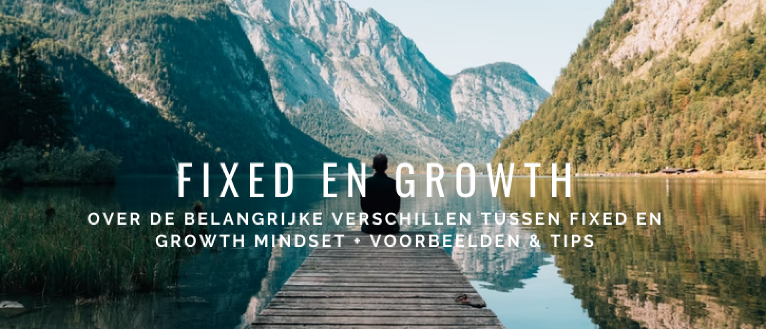 Fixed en Growth Mindset Verschillen: Voorbeelden en Tips
