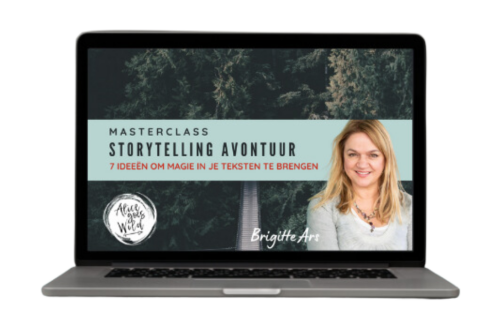 Digital Business Bundel - storytelling masterclass.