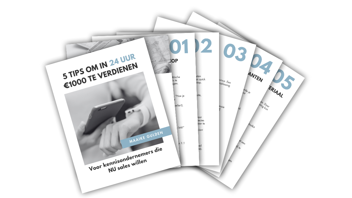 gids om €1000 in 24 uur te verdienen