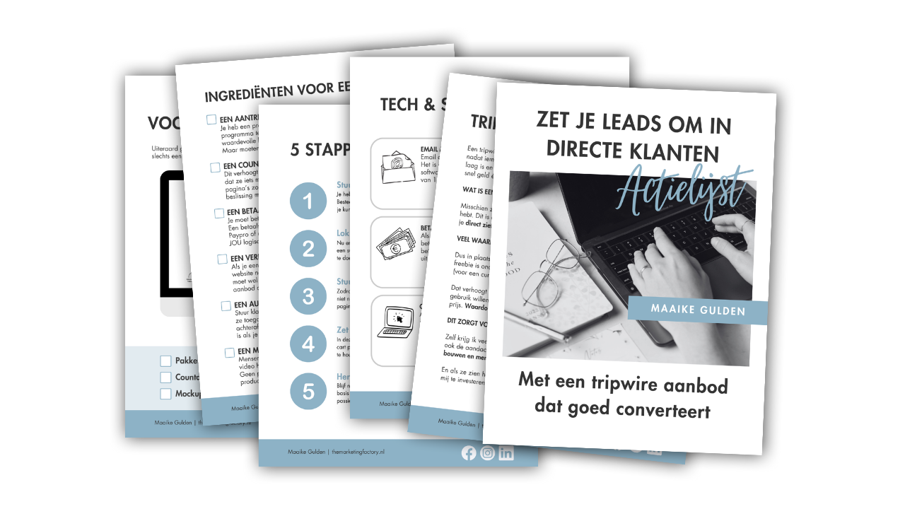 Maak van je freebie direct een cash machine - van klik naar klant in 15 minuten