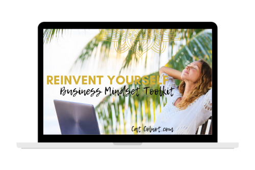 Reinvent yourself - Cat Colnot - Digital Business Bundel.