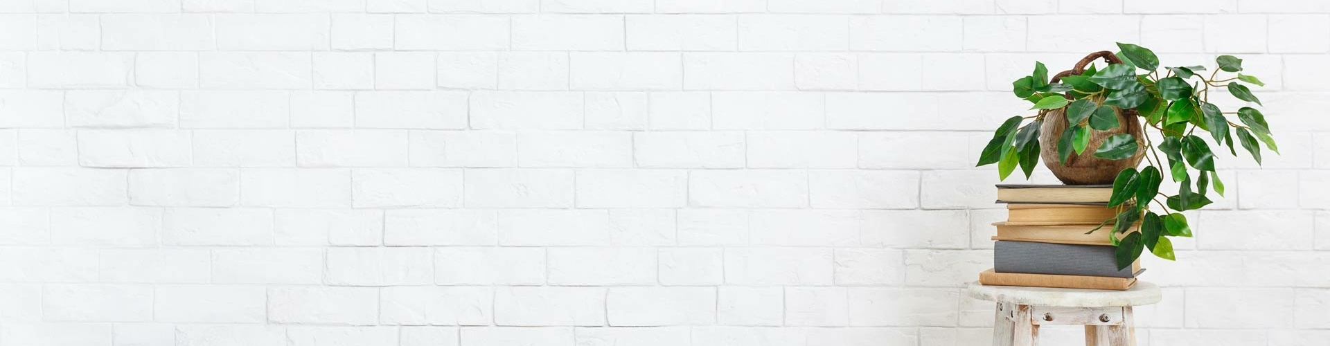 Over Susan, de minimaliseercoach