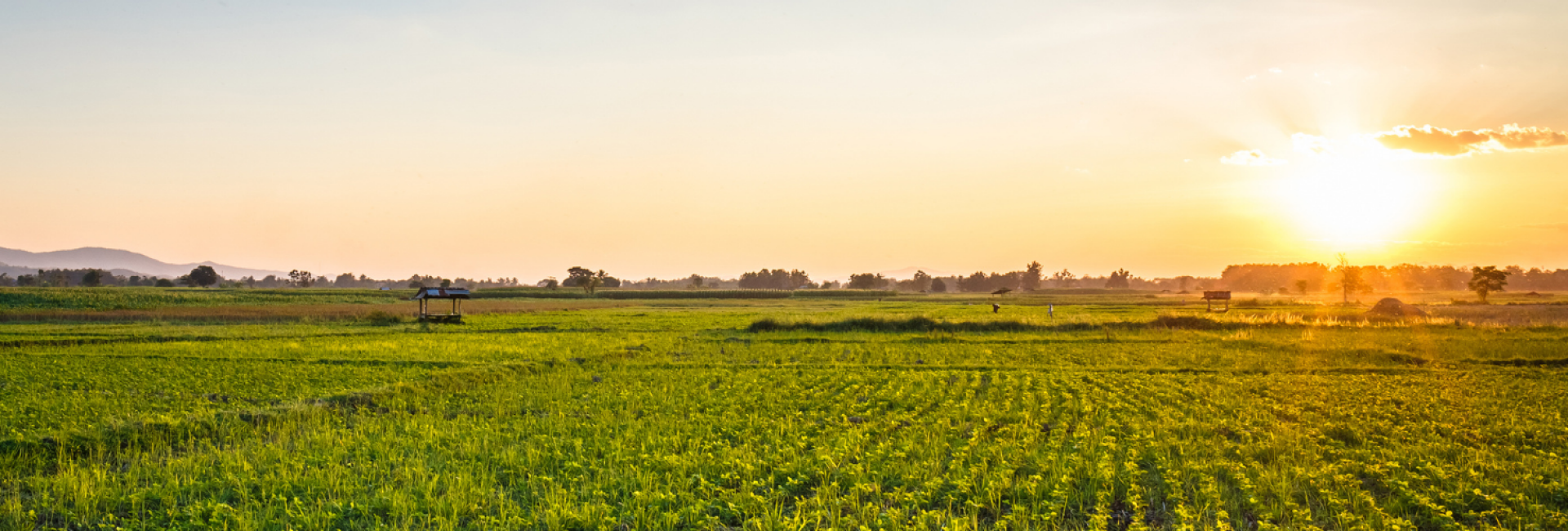 Fred Lanson_solutions air cargo_temperatuur gecontroleerde logistiek