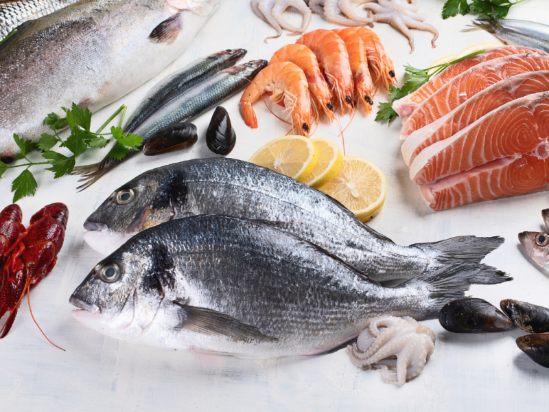 Cooled Cargo perishables FIsh_Meat_vegetables_soft fruits