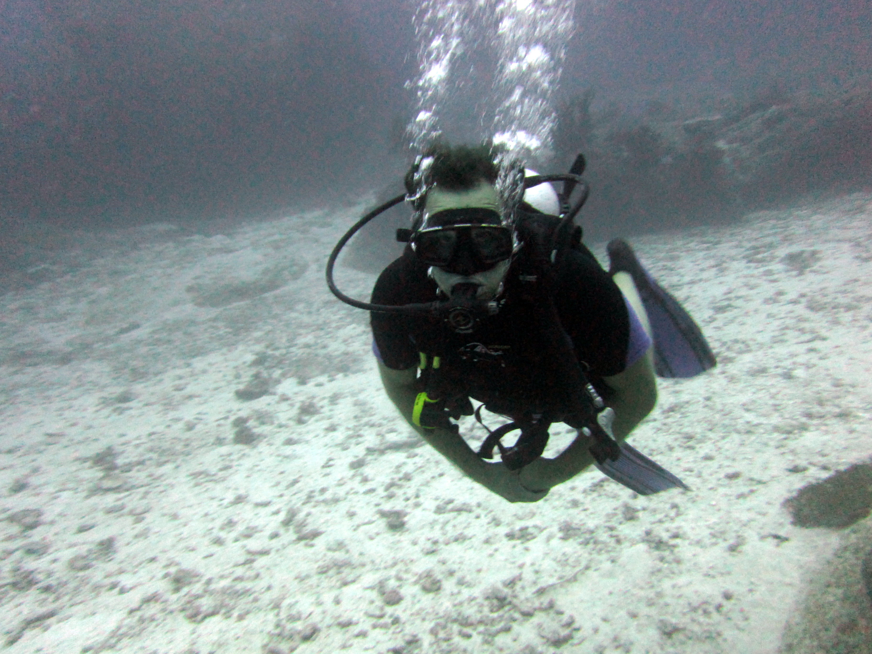 Similan Islands: A Diving Adventure