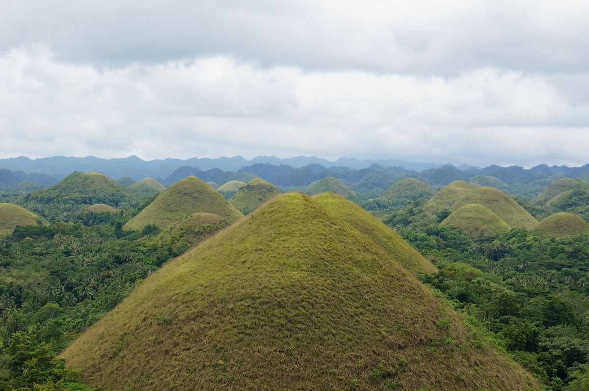 Day Tour along the highlights of Bohol