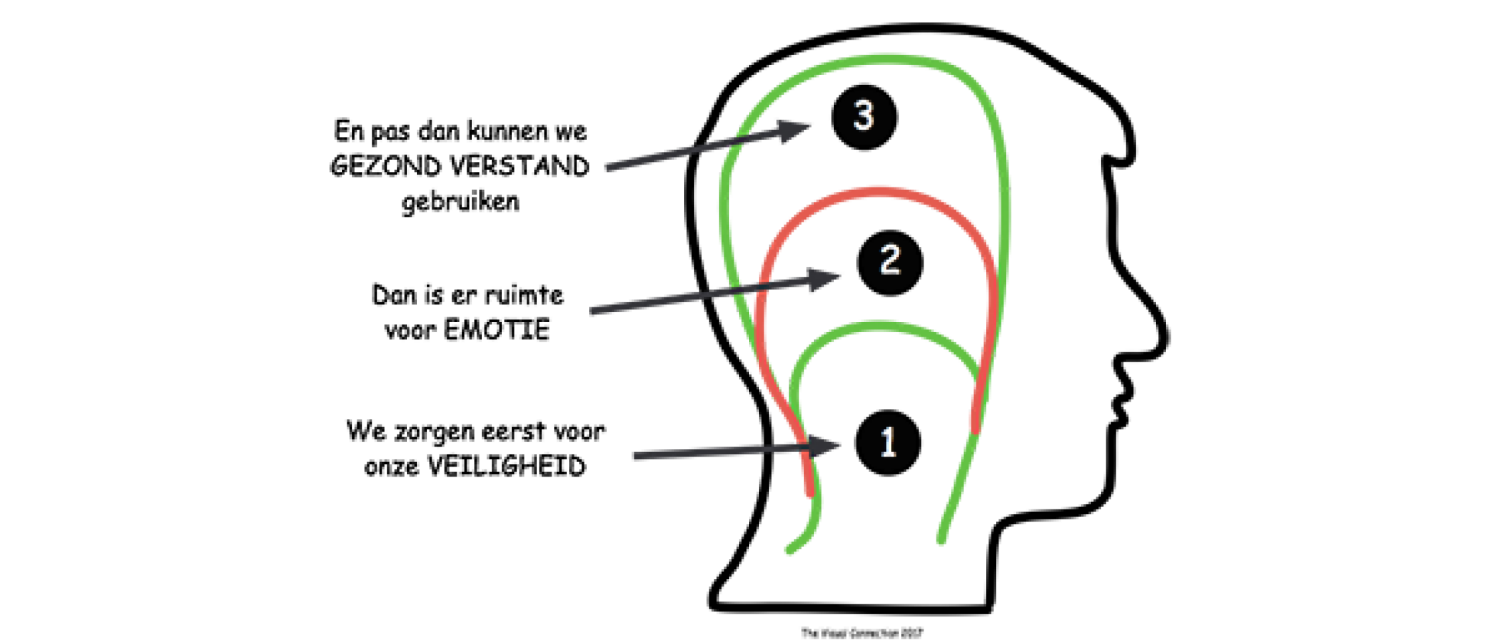 Eerst de emotie, dan gezond verstand