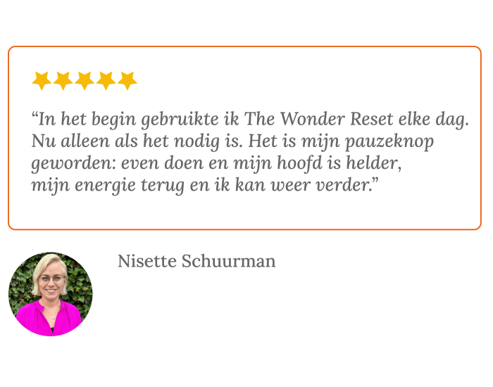 Review Nisettev Schuurman over The Wonder Reset