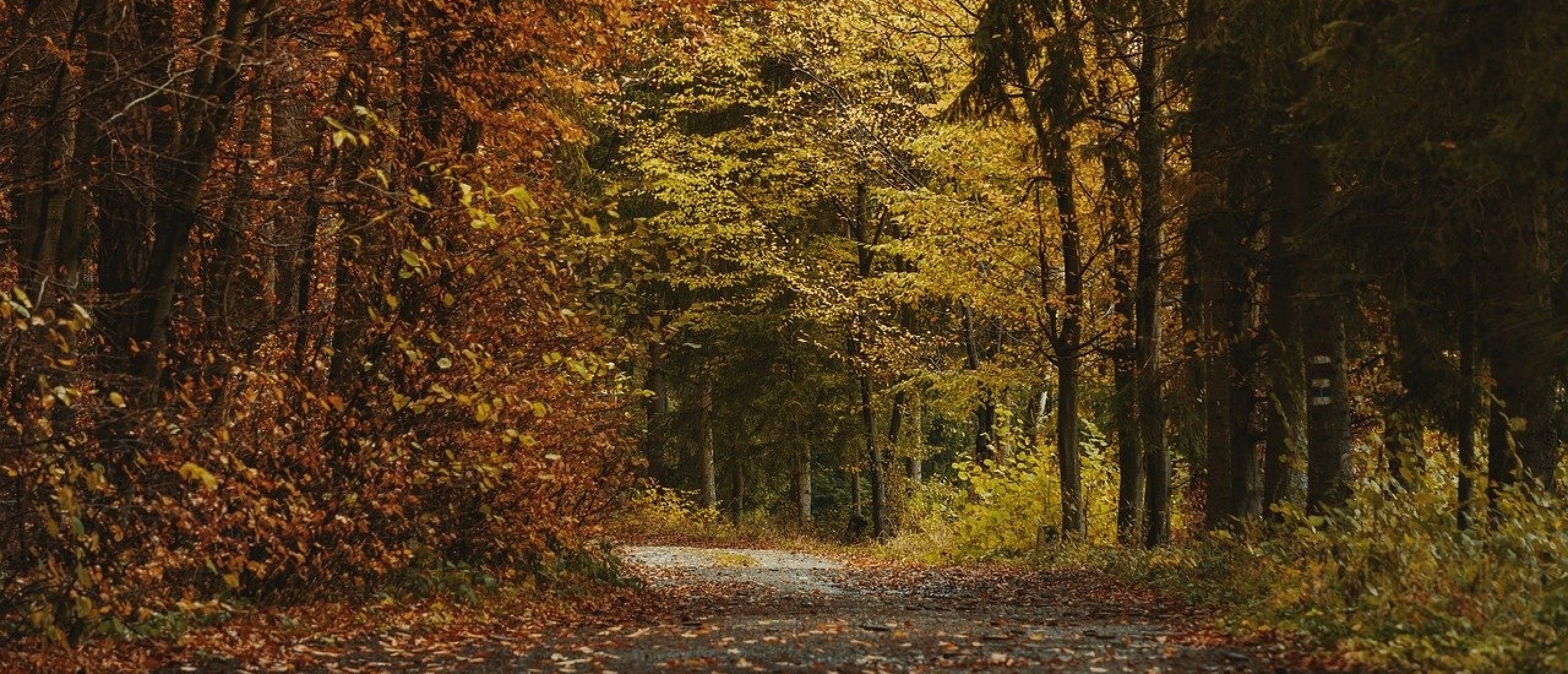 Het verhaal van Janneke: van overvragen naar aanvoelen. Van “doorgaan” naar doen wat past