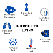 Intermittent Living