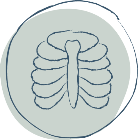 symbool borstkas