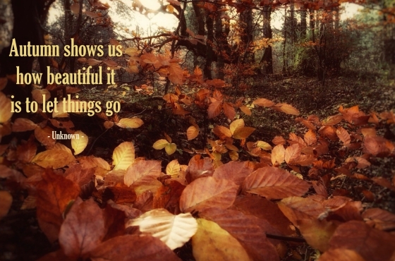quote-autumn-let-thinngs-go
