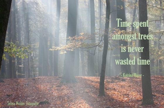 Time spent among trees is never wasted time