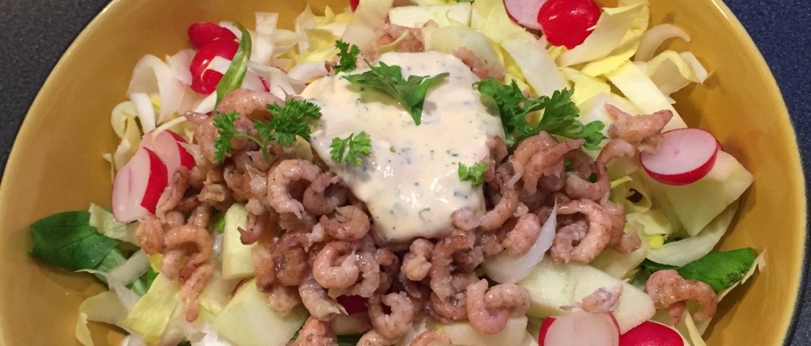 Witloof salade met garnaaltjes en radijs