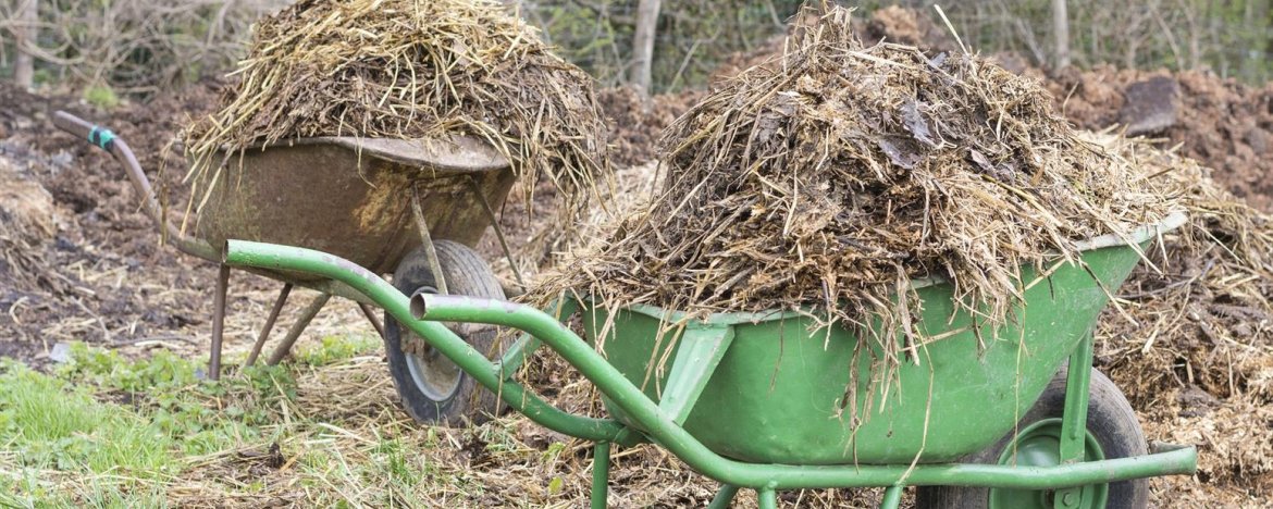 CANDYCRUSH SPELEN IS NET ALS EEN PAARDENSTAL MET DE HAND UITMESTEN