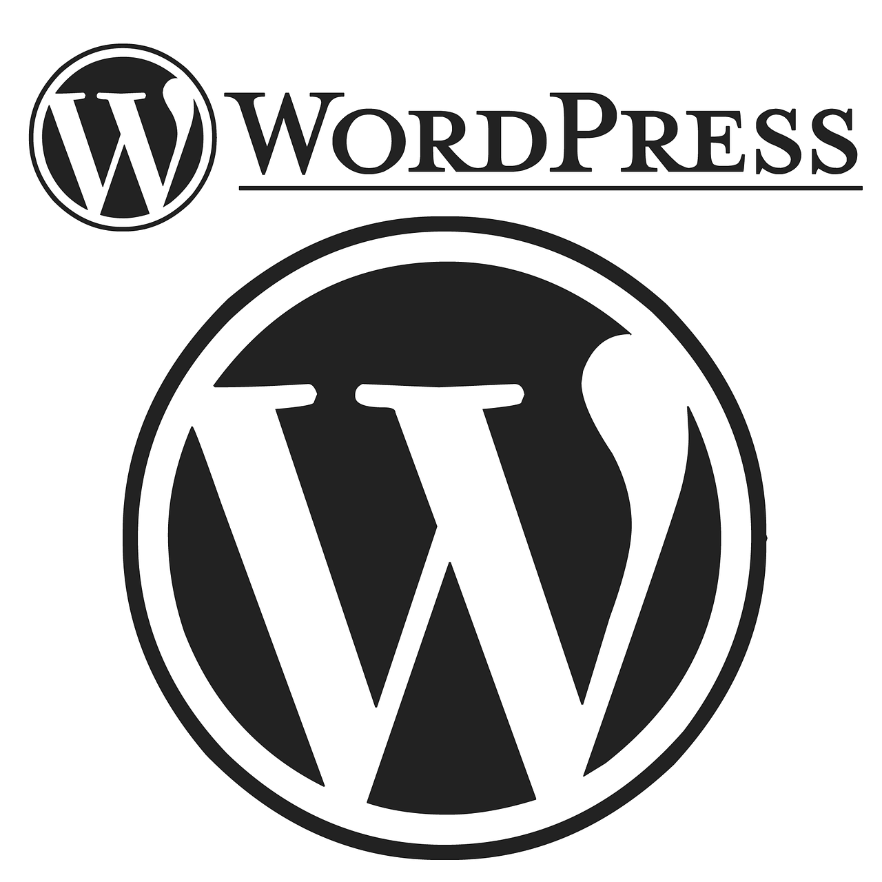 website zonder wordpress laten maken