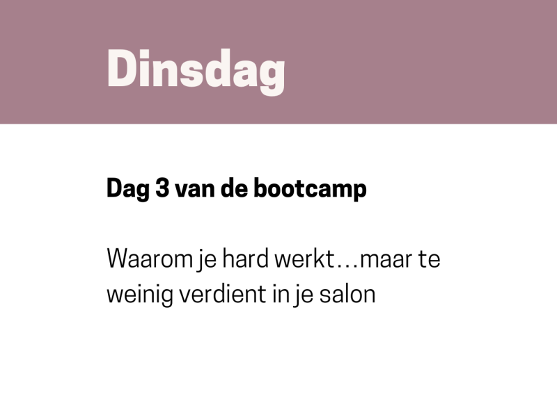 gratis salon bootcamp Waarom je nu klanten aantrekt die te weinig betalen… en wat er moet veranderen om beter betalende klanten aan te trekken meer omzet in je salon met de gratis salon bootcamp
