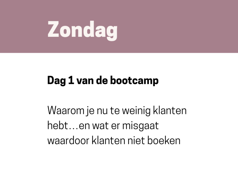 gratis salon bootcamp Waarom je nu klanten aantrekt die te weinig betalen… en wat er moet veranderen om beter betalende klanten aan te trekken nieuwe klanten aan trekken in de salon - gratis salon bootcamp