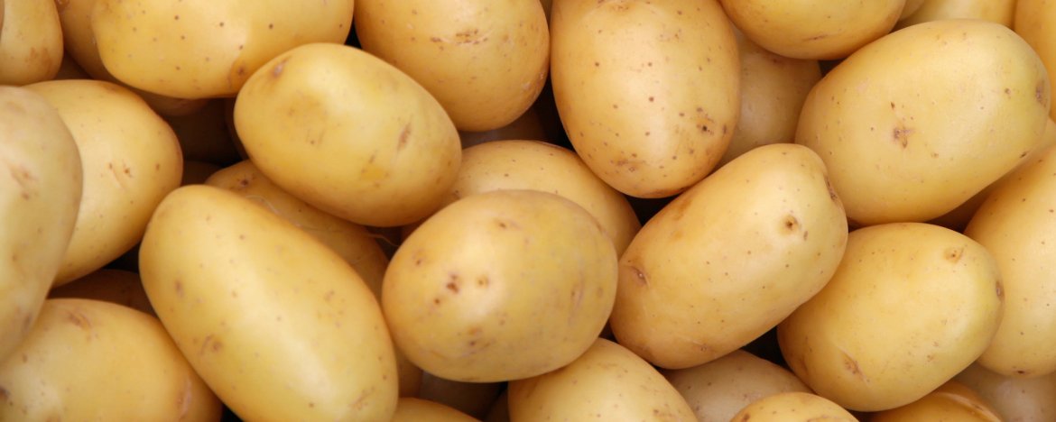 Werkingsmechanisme van aardappelen