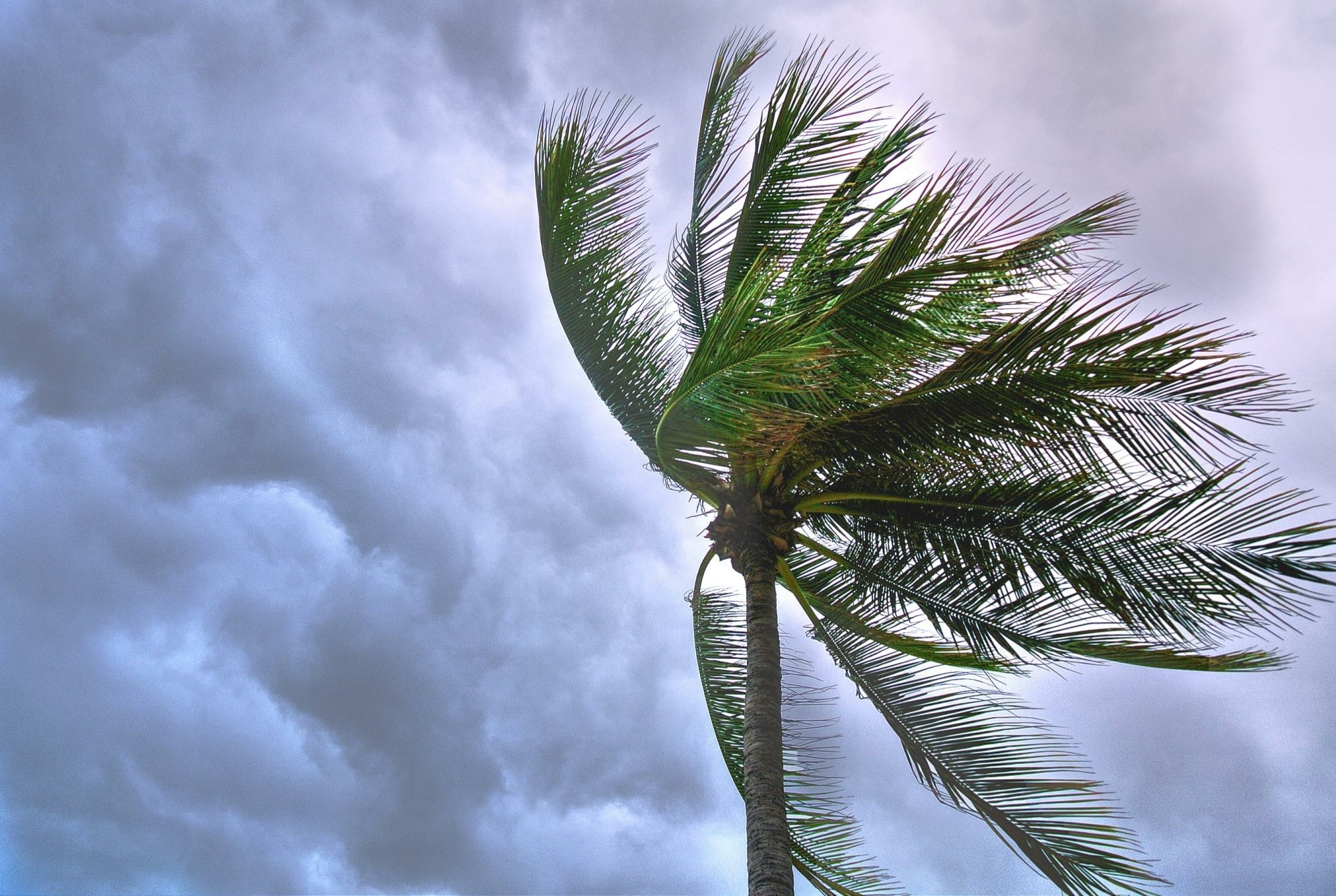 Krachtigste tyfoon in 8 jaar tijd met een sterke wind