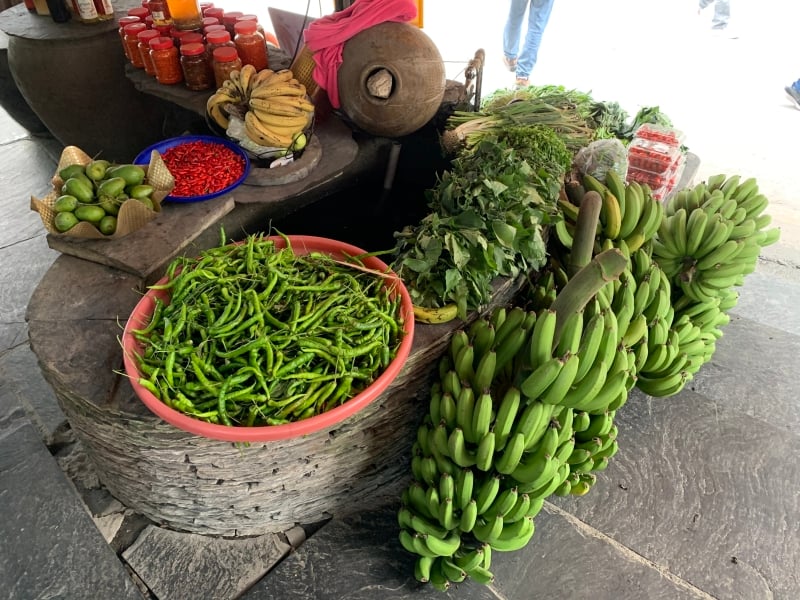 Het variërende landschap van Taiwan waarbij je bananenbomen kan tegenkomen tijdens de rondreis