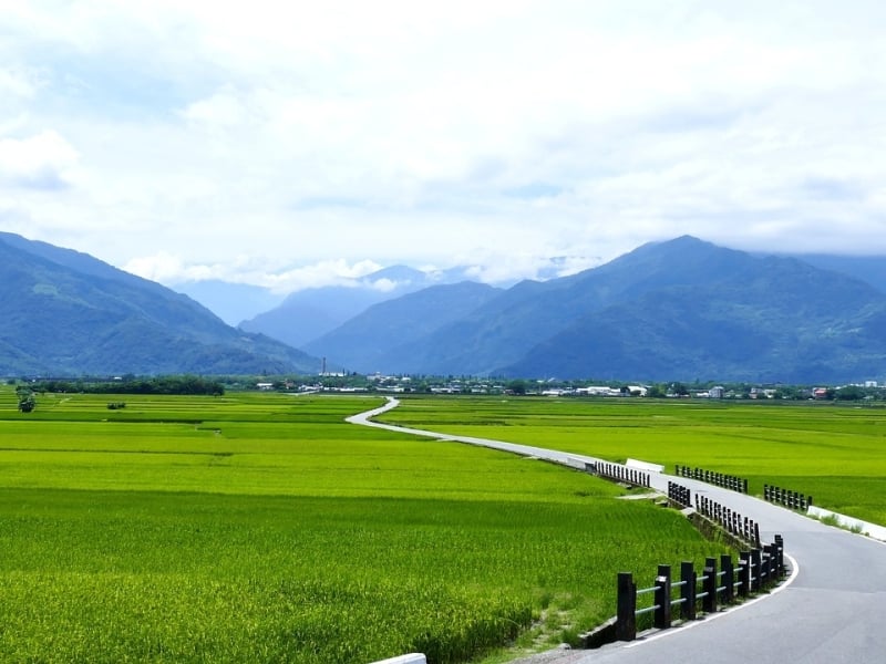 De rijstvelden van Chihshang in Taiwan, bekijk dit typische landschap tijdens de rondreis