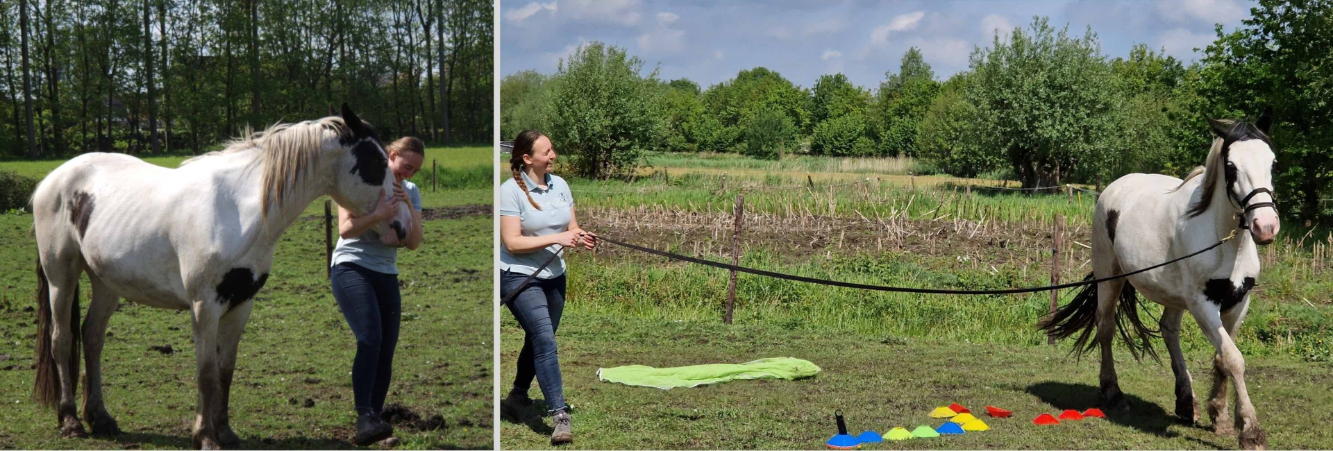 Hulp aan huis voor jou en je paard in België