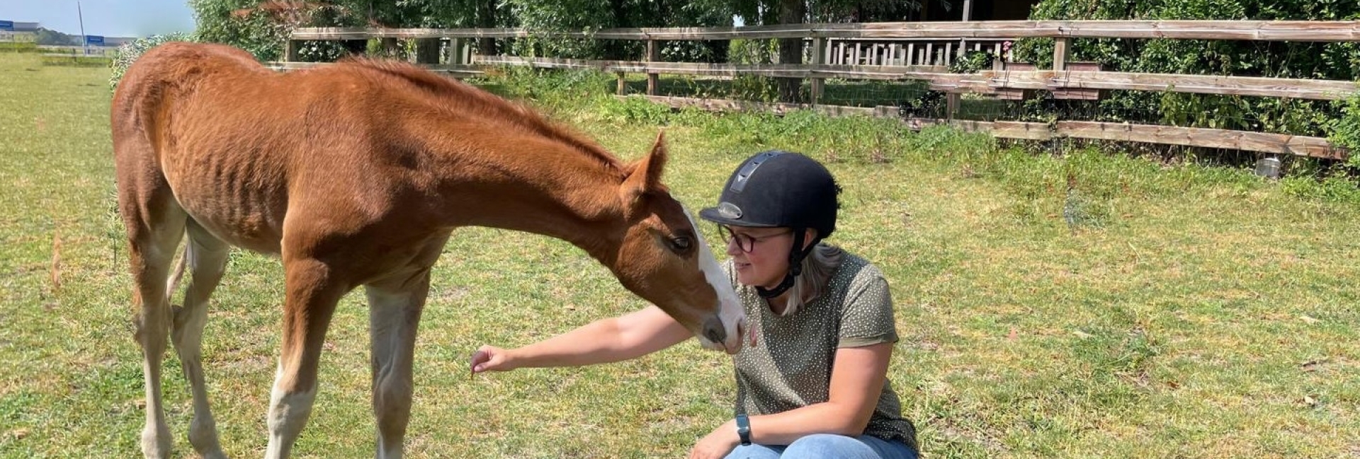 Hulp aan huis voor jou en je paard