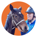 Hulp aan huis voor jou en je paard in Groningen en Drenthe
