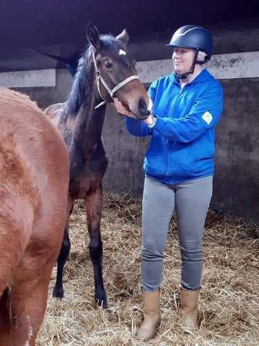 Hulp aan huis voor jou en je paard in Groningen en Drenthe