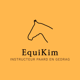 Paarden training Gelderland