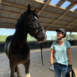 Hulp aan huis voor jou en je paard Noord Holland, Utrecht en Flevopolder