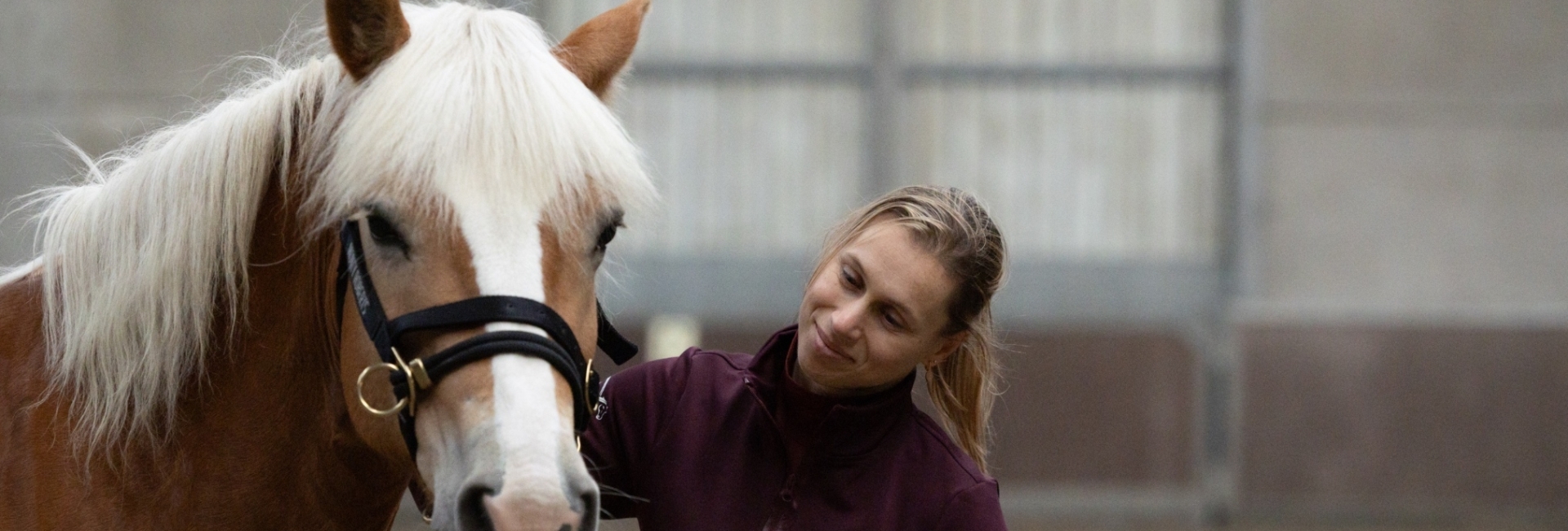 Hulp aan huis voor jou en je paard in België