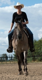 Hulp aan huis voor jou en je paard Gelderland en Overijssel