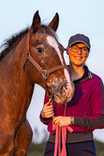 Paarden trainen in Gelderland