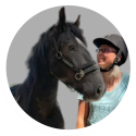 Hulp aan huis voor jou en je paard Noord Holland, Utrecht en Flevopolder