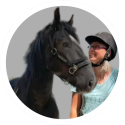 Hulp aan huis voor jou en je paard Noord Holland, Utrecht en Flevopolder
