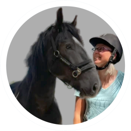 Hulp aan huis voor jou en je paard Noord Holland, Utrecht en Flevopolder