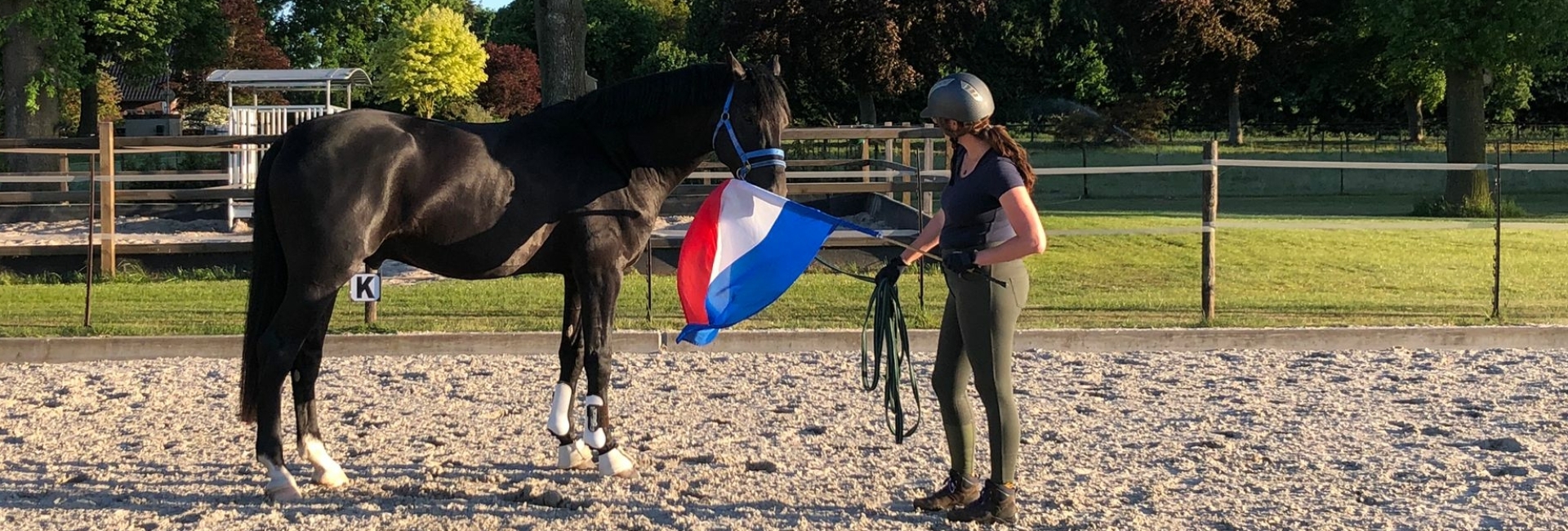 Hulp aan huis voor jou en je paard Gelderland en Overijssel