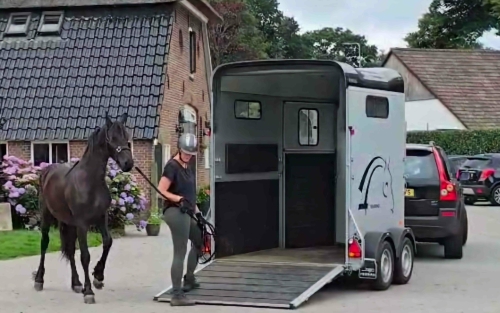 Hulp aan huis voor jou en je paard Gelderland en Overijssel