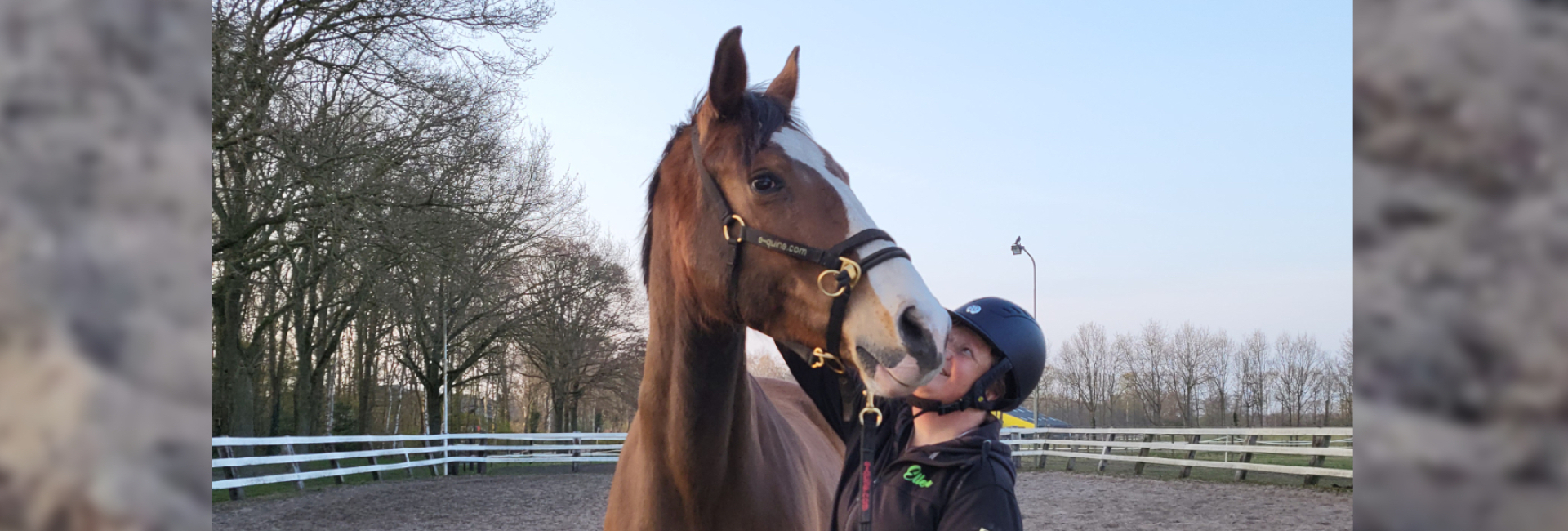 Hulp aan huis voor jou en je paard Groningen en Drenthe
