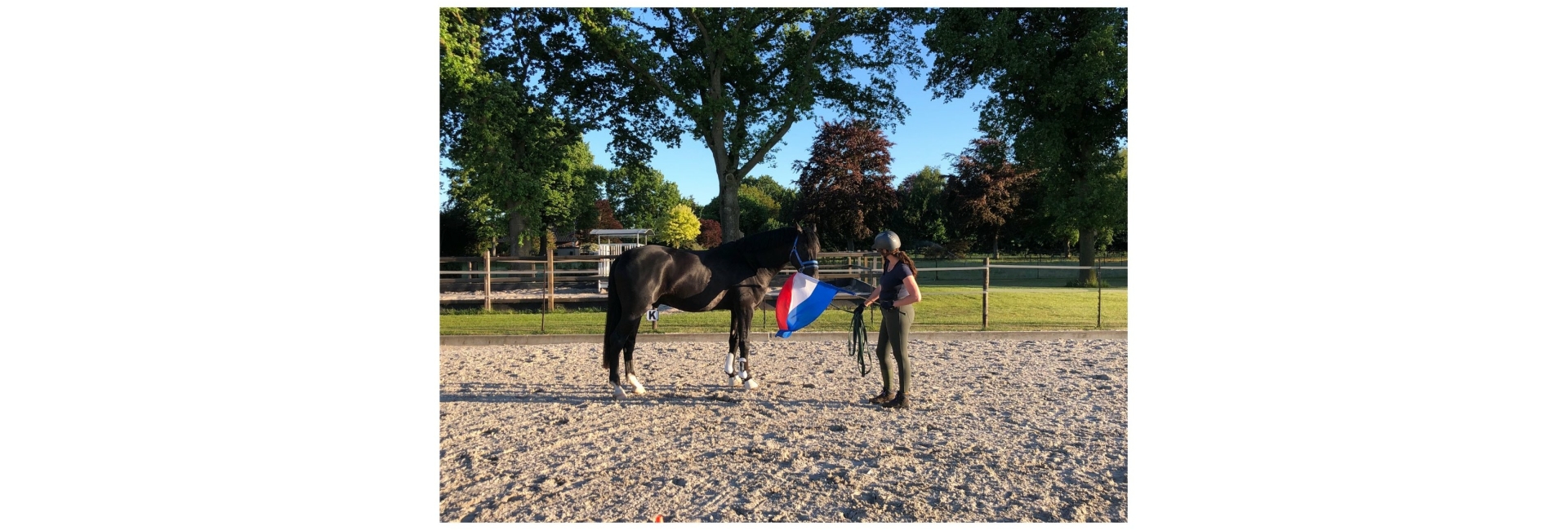 Hulp aan huis voor jou en je paard Gelderland en Overijssel