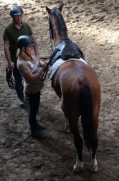 Trainers werken in teams om jonge paarden zadelmak te maken