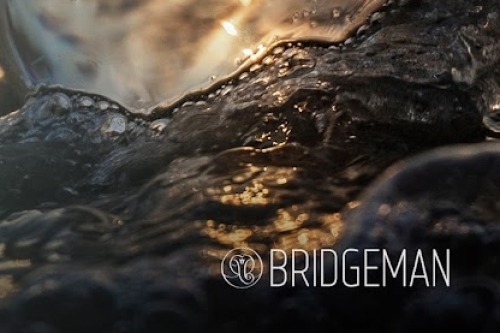 overzicht van alle online trainingen