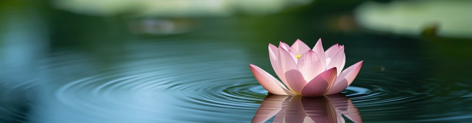 Lotus die drijft op kalm water, symbool voor innerlijke rust en spiritueel bewustzijn.