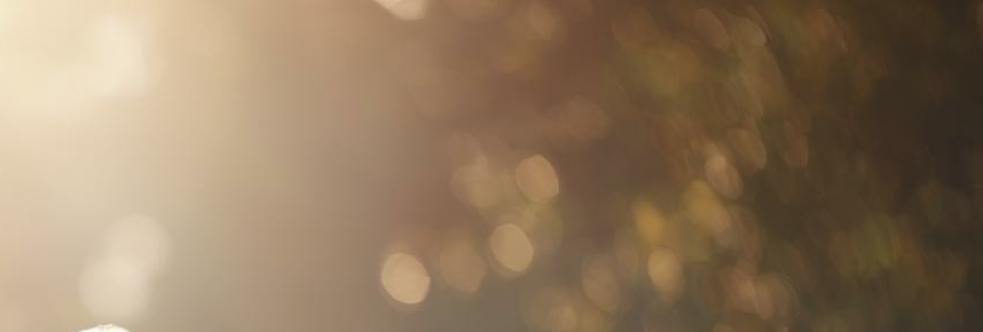 Persoon zit in stilte in de natuur met zacht zonlicht, symbool voor groei en reflectie.