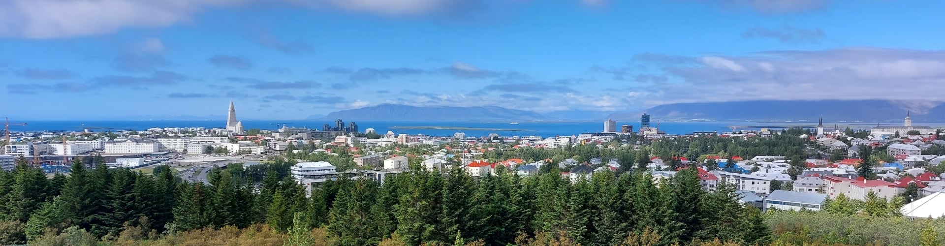 Reykjavik city view