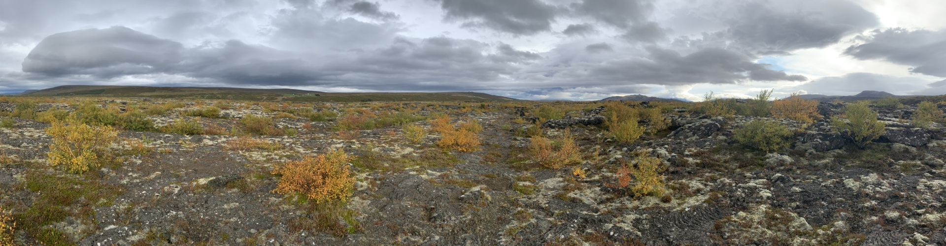 IJslands landschap