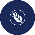 gluten