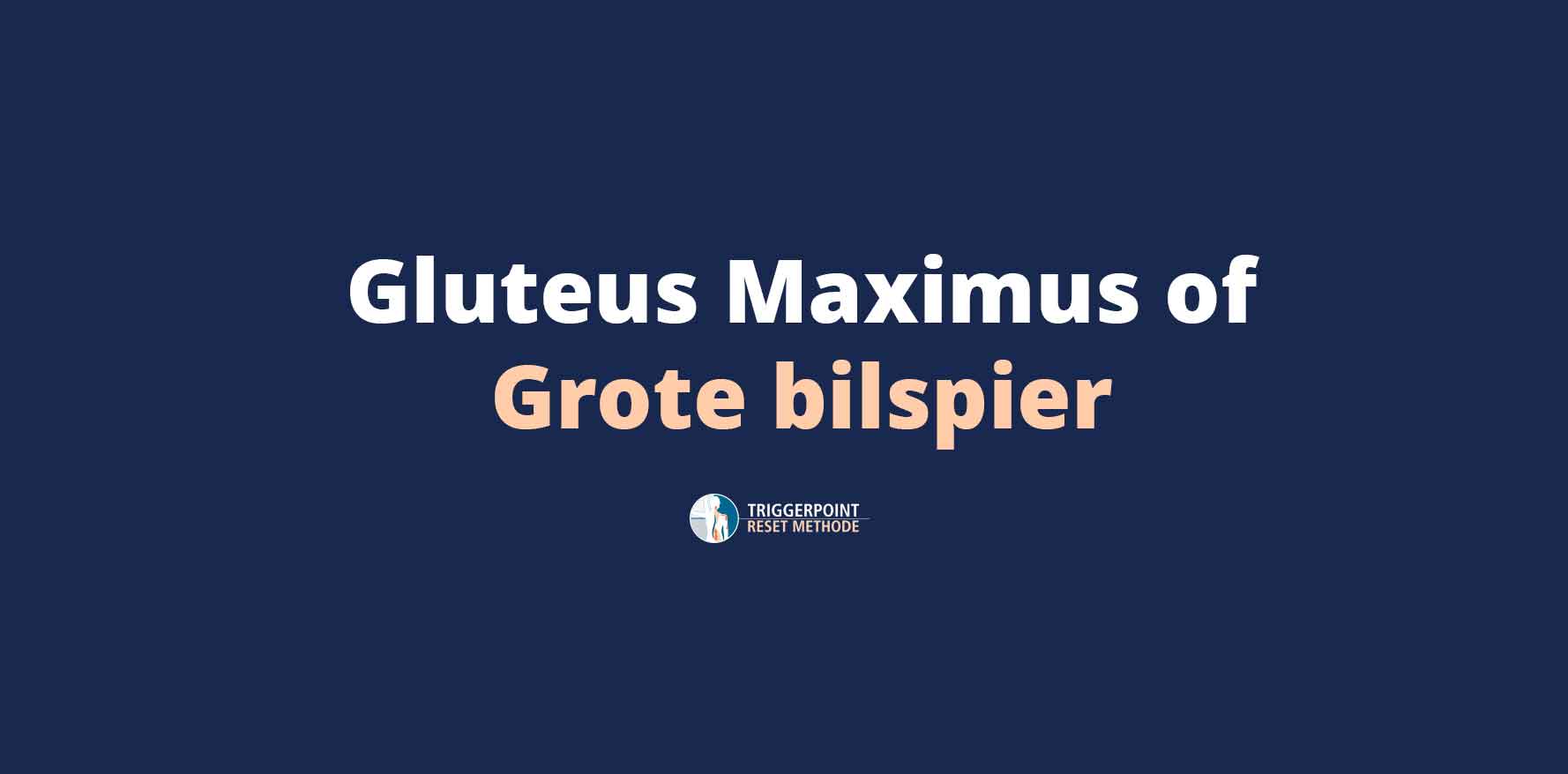 Gluteus Maximus (Grote Bilspier)